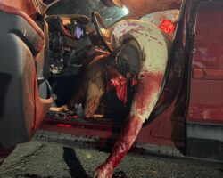 Three gangsters killed during police operation in Rio de Janeiro