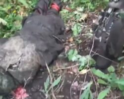 Ukrainian soldier shoots dead Russian soldier in head