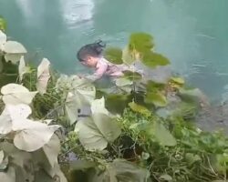 Woman attacked and killed by crocodile