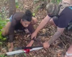 Young woman brutally executed in Brazilian rainforest