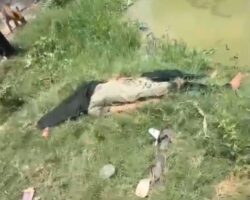 Young woman took her own life over mental pressure