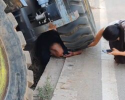Arm trapped under excavator wheel