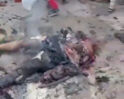 At least 18 people killed in Israeli airstrikes on Gaza
