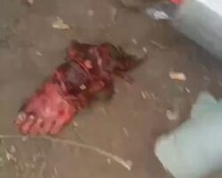 Blast ripped off his foot