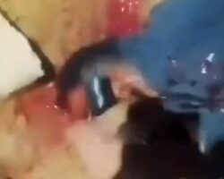 Brazilian gang execution caught on video