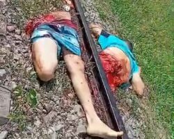 Brazilian man cut in half by train