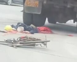 Chinese cyclist fatally crushed by truck