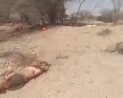 Crash of small tourist plane in Peru