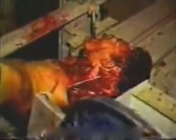 Crushed to death by elevator