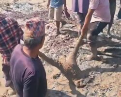 Devastating flood and landslides hit Nepal-Tibet border