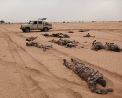 Dozens of bodies of dead Malian soldiers found in desert