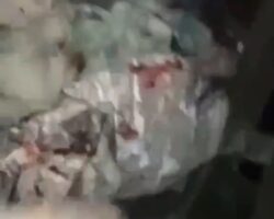 Entire crew of Russian military vehicle eliminated