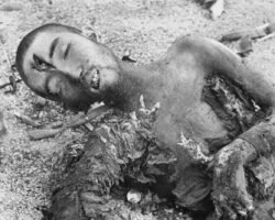 Fallen Japanese soldiers in Battle of Iwo Jima