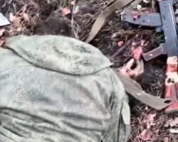Fallen Russian soldier on battlefield #11