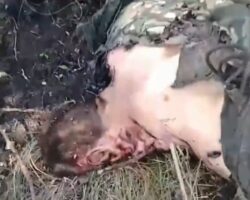 Fallen Russian soldier on battlefield #14