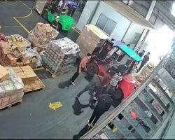 Female worker gets hit by forklift while walking in factory