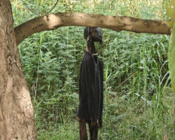 Hanged man found in Cambodian forest