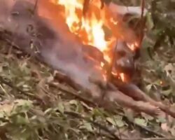 Helicopter crash kills four in Rio de Janeiro