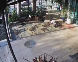 Impact of suicide jumper #3