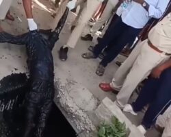 Indian man found dead in sewer