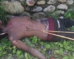Inter-tribal clashes leave dozens dead in Papua