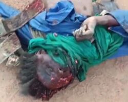 JNIM terrorists eliminated after clash with Malian army