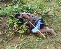 MIX: Victims of Papuan tribal wars #2