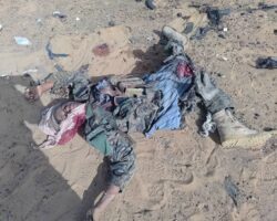 Malian rebels eliminated by government forces and Africa Corps