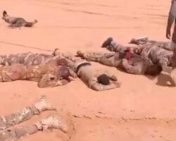 Malian soldiers killed in JNIM ambush