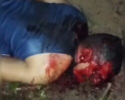 Man brutally killed with garden hoe in Brazil