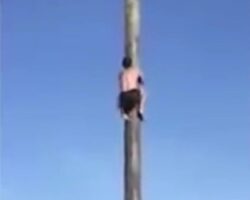 Man falls from wooden pole during festival contest