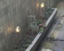 Man in Columbus, Ohio, takes his own life by jumping from building