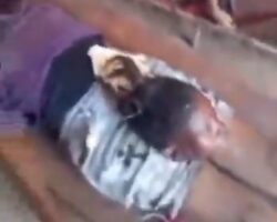 Man murdered three female members of his family
