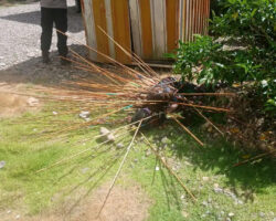 Man riddled with arrows