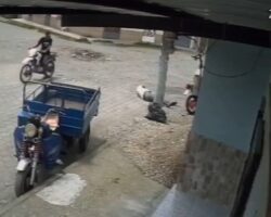Man shot dead during motorcycle robbery