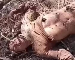 Member of Mexican drug cartel taken out by rival drone