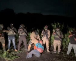 Mexican drug cartel interrogates and executes their captive