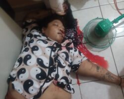 Mother, daughter, and another woman killed in armed attack