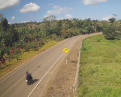 Motorcyclist dies in high-speed collision with car