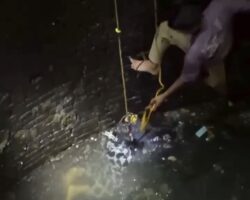 Nighttime extraction of dead body from reservoir
