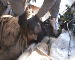 Pakistani soldiers killed in TTP attack