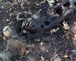 Partially skeletonized corpses of Russian soldiers found