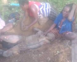 Pastor killed amid tribal violence in Papua