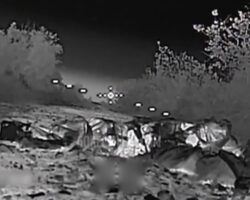 Rat feeds on corpse of Russian soldier
