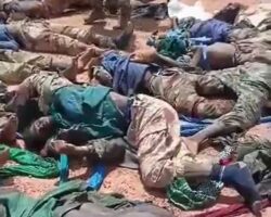Russian Africa Corps forces killed dozens of JNIM terrorists
