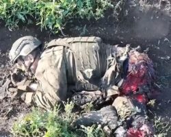 Russian soldier blown apart by drone strike #7