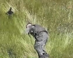 Russian soldier can’t escape Ukrainian drone #6