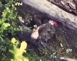 Russian soldier drinks alcohol after traumatic leg amputation