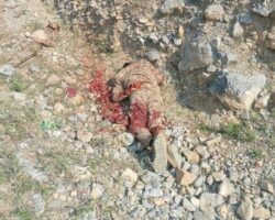 Six Pakistani soldiers killed in clash with TTP militants