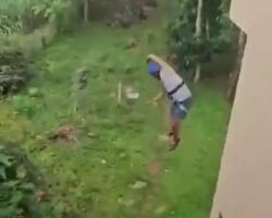 Tourist seriously injured in 40-foot zipline fall